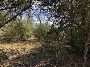 000 County Rd 229