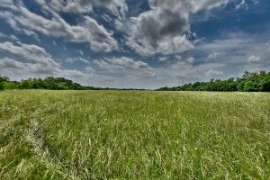 TBD River Haven BS